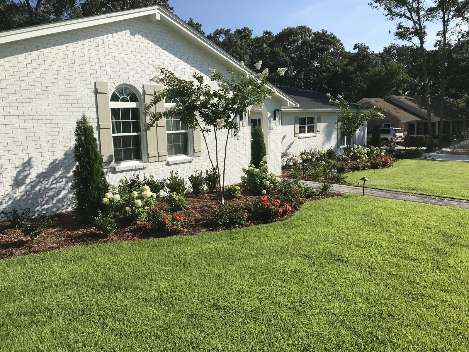 After: thick new sod, a curved mulched bed of hydrangeas and roses, and a young crepe myrtle